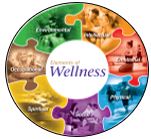 Traditional Wellness/Integrative Care Program